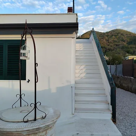 Azzurra *
